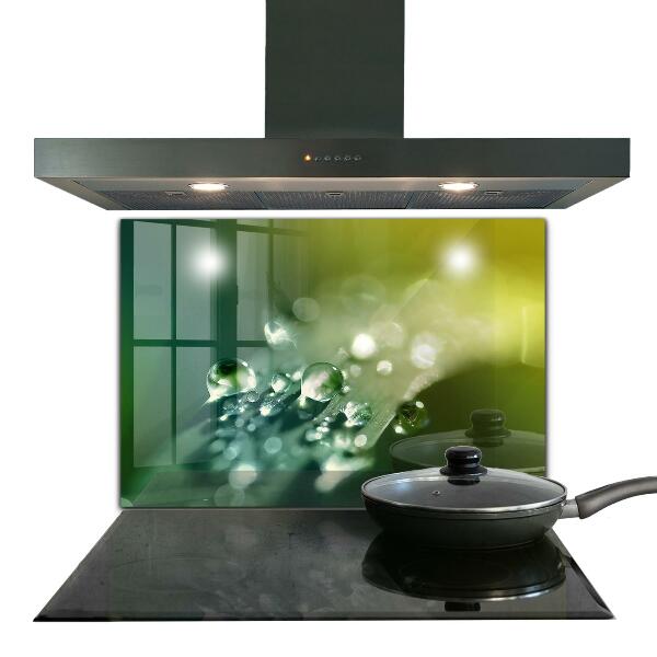 Kitchen wall panels Dew on green leaves