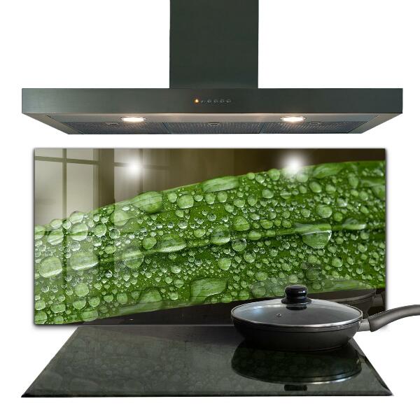 Kitchen wall panels Green leaf after rain