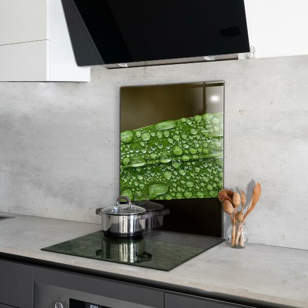Kitchen wall panels Green leaf after rain