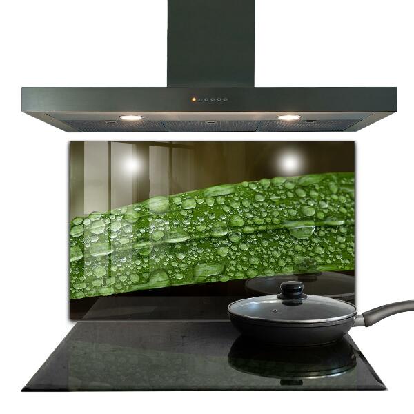 Kitchen wall panels Green leaf after rain