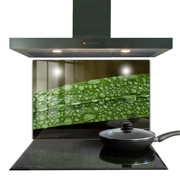 Kitchen wall panels Green leaf after rain