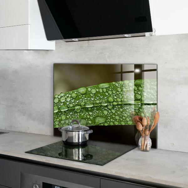 Kitchen wall panels Green leaf after rain