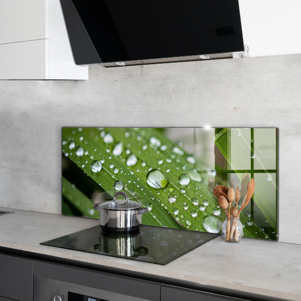 Kitchen wall panels Dew drops on the grass