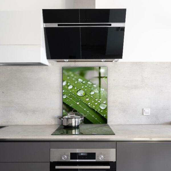 Kitchen wall panels Dew drops on the grass