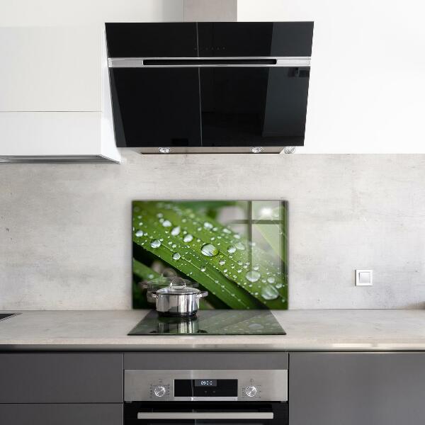 Kitchen wall panels Dew drops on the grass