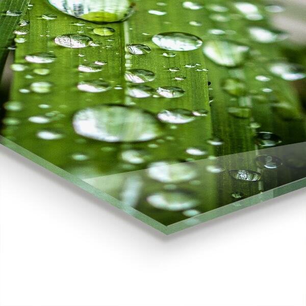 Kitchen wall panels Dew drops on the grass