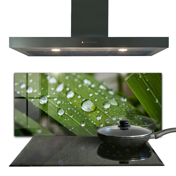 Kitchen wall panels Dew drops on the grass