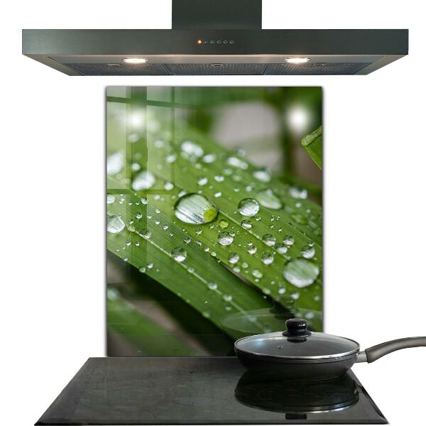 Kitchen wall panels Dew drops on the grass