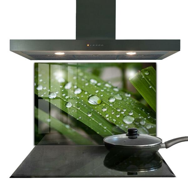 Kitchen wall panels Dew drops on the grass