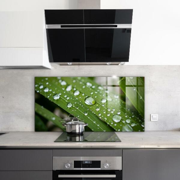 Kitchen wall panels Dew drops on the grass