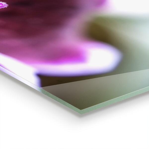 Kitchen wall panels Pink flower nature details