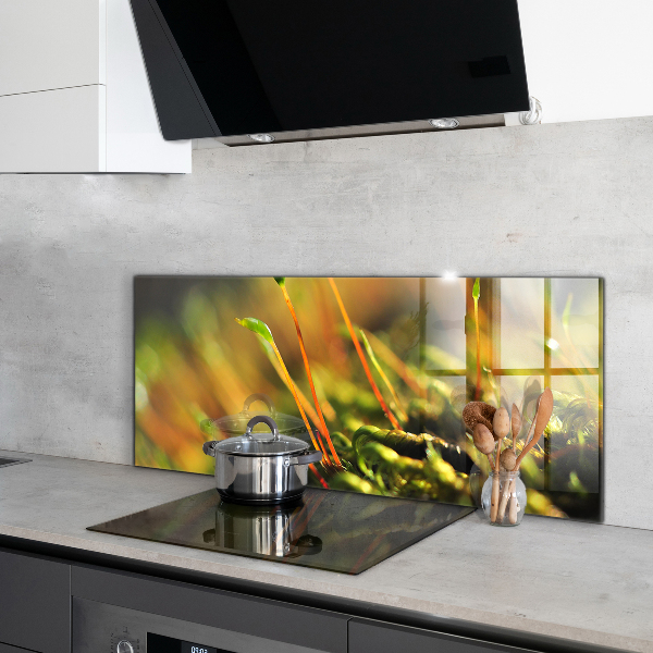 Kitchen wall panels Forest moss details