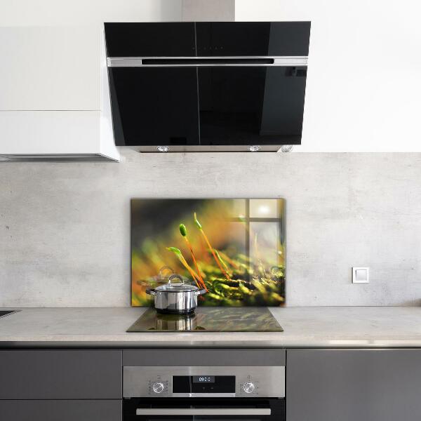 Kitchen wall panels Forest moss details