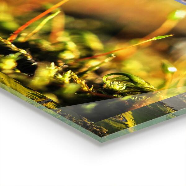 Kitchen wall panels Forest moss details