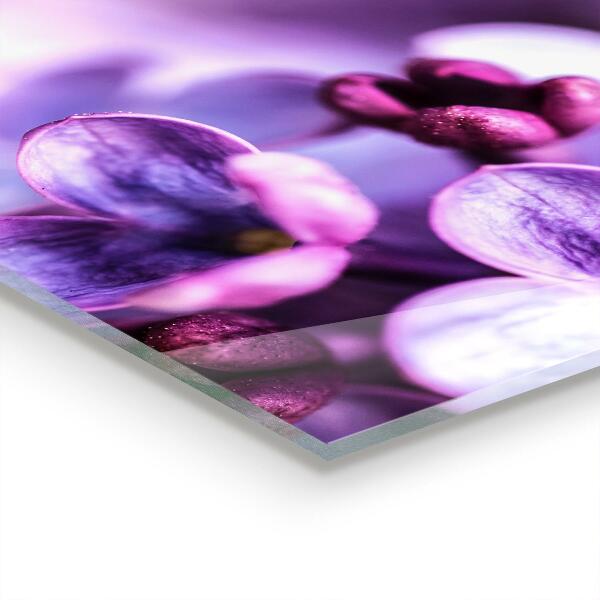 Kitchen splashback Purple flowers