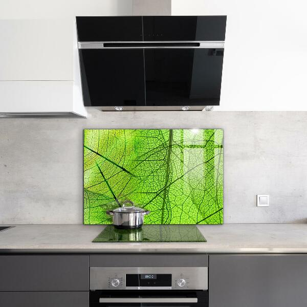 Kitchen splashback Green leaf texture