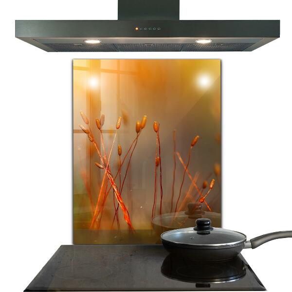 Kitchen splashback Grain field at sunset