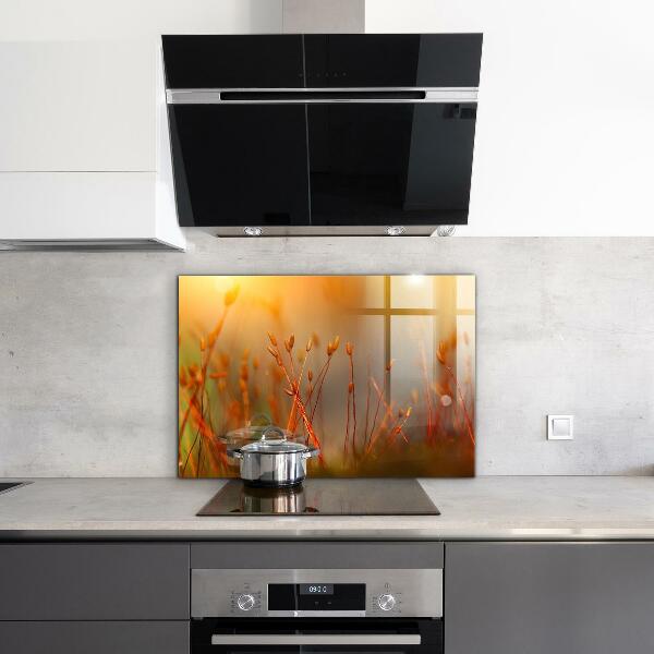 Kitchen splashback Grain field at sunset