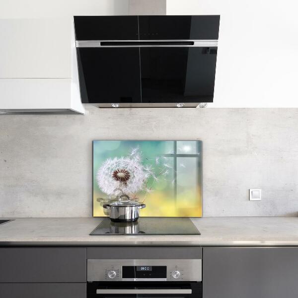 Kitchen splashback Dandelion dandelion in the wind