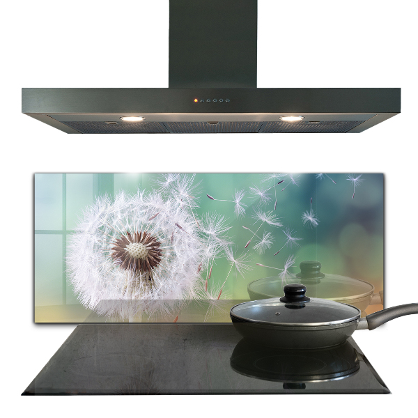 Kitchen splashback Dandelion dandelion in the wind