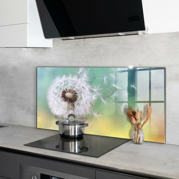 Kitchen splashback Dandelion dandelion in the wind
