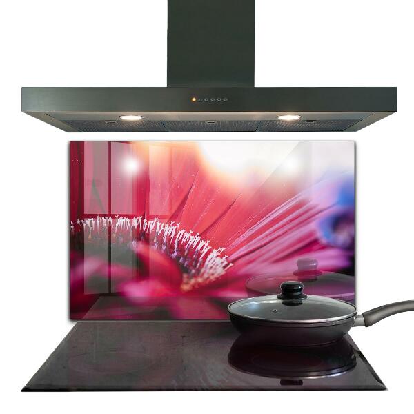 Kitchen splashback Pink flower nature details
