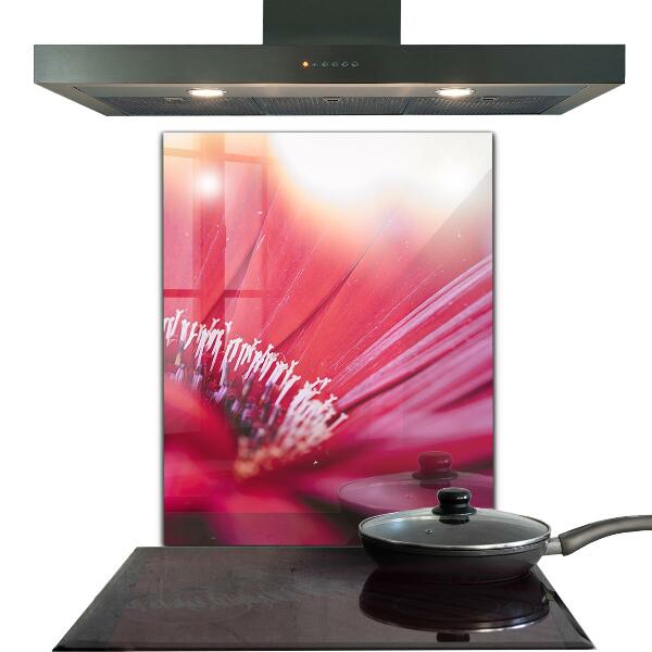 Kitchen splashback Pink flower nature details