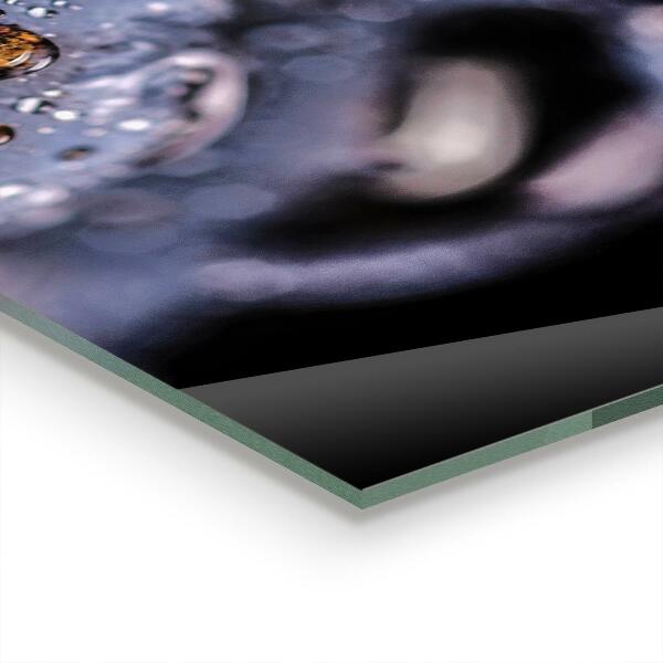 Kitchen splashback Juicy blueberries