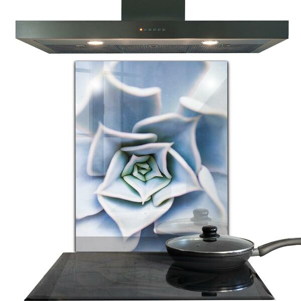 Kitchen splashback Cactus succulent