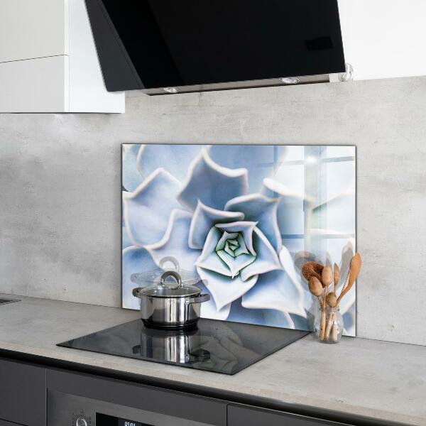 Kitchen splashback Cactus succulent