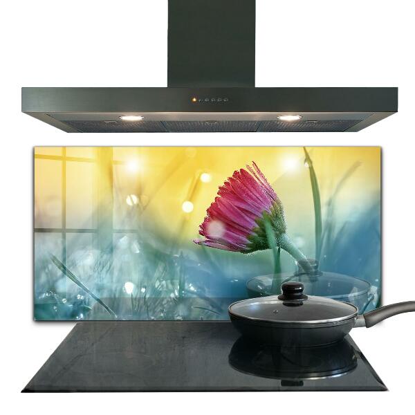 Kitchen splashback Delicate daisy in the meadow