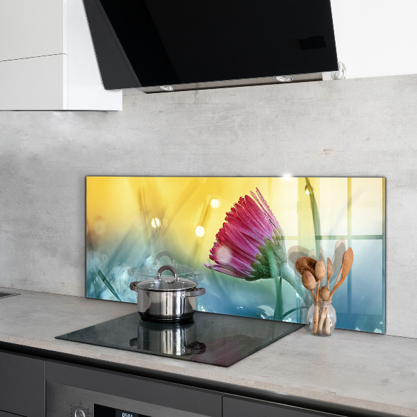 Kitchen splashback Delicate daisy in the meadow