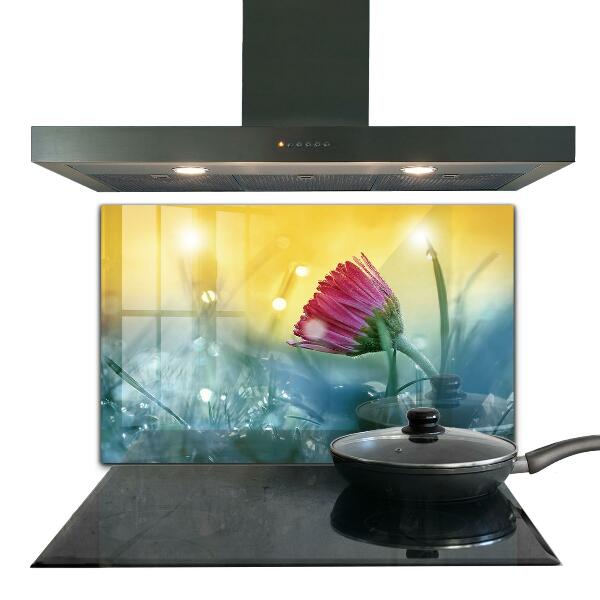 Kitchen splashback Delicate daisy in the meadow