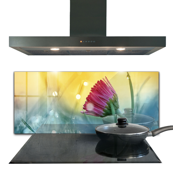 Kitchen splashback Delicate daisy in the meadow