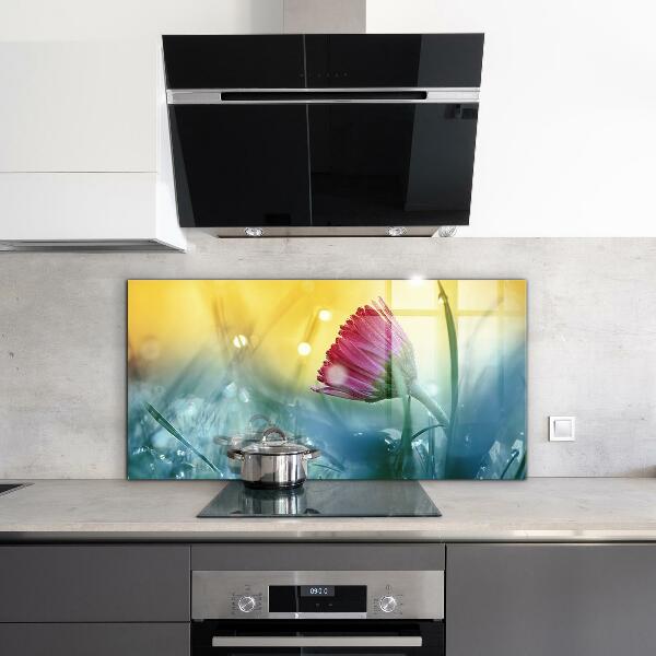 Kitchen splashback Delicate daisy in the meadow