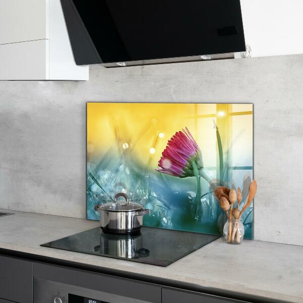 Kitchen splashback Delicate daisy in the meadow