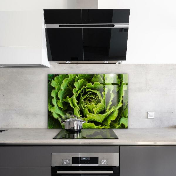 Kitchen splashback Cabbage flower leaves