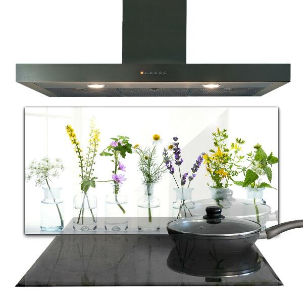 Kitchen splashback Natural herbs health