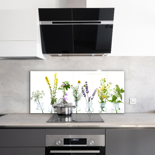 Kitchen splashback Natural herbs health