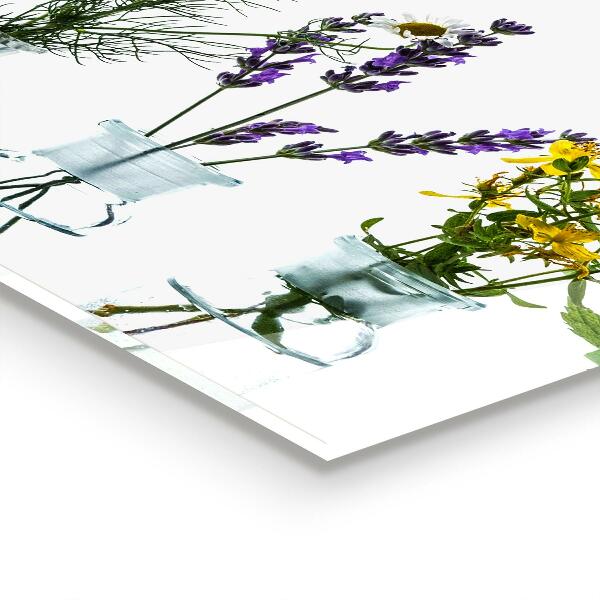 Kitchen splashback Natural herbs health