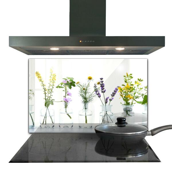 Kitchen splashback Natural herbs health