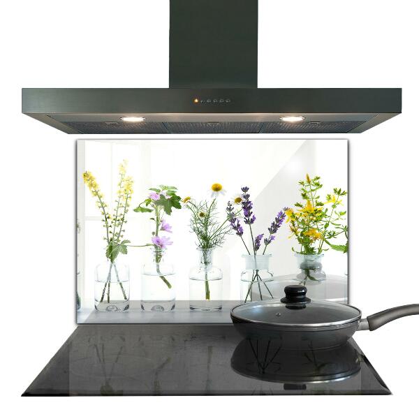 Kitchen splashback Natural herbs health
