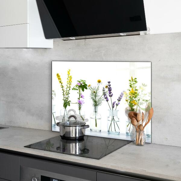 Kitchen splashback Natural herbs health