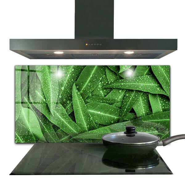 Kitchen splashback Green leaves after rain