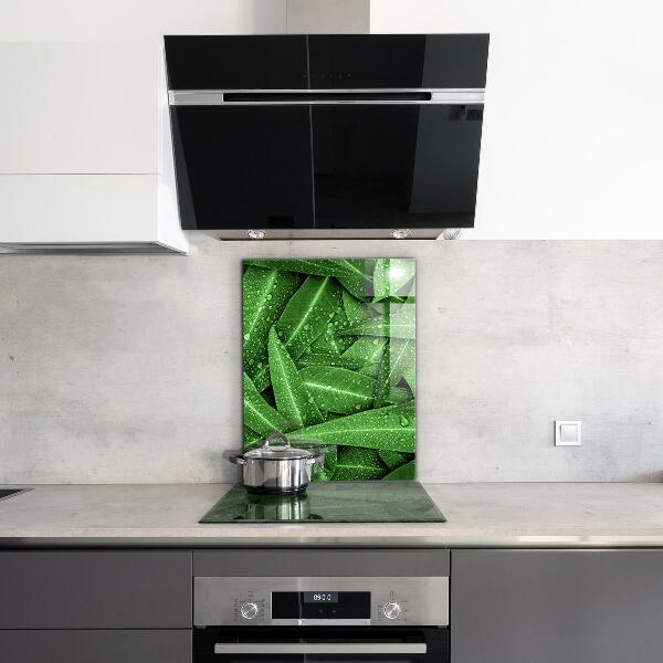 Kitchen splashback Green leaves after rain
