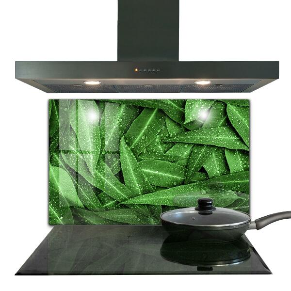 Kitchen splashback Green leaves after rain