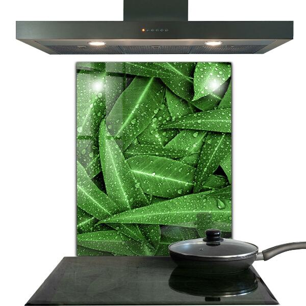 Kitchen splashback Green leaves after rain