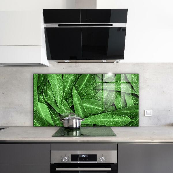 Kitchen splashback Green leaves after rain