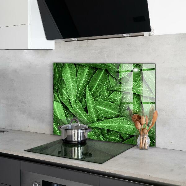 Kitchen splashback Green leaves after rain
