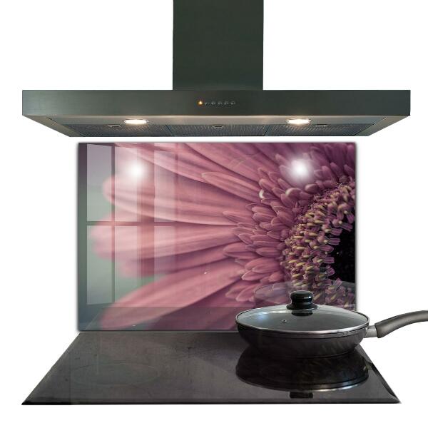 Kitchen splashback Flower margaretka gerbera